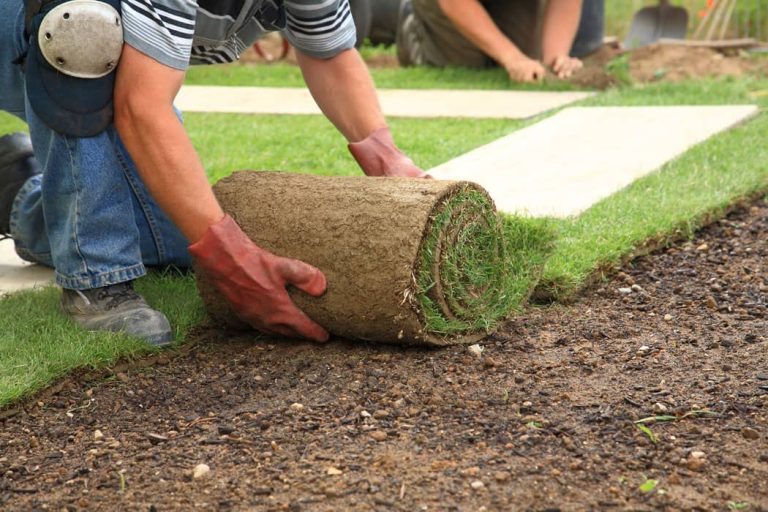 Grass-Fcatory-Planting-Grass-101-101